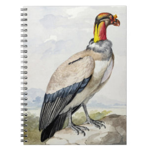 Carnet Décoration murale vibrante et exotique du roi vaut