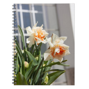 Carnet Délicat mignon daffodils printemps