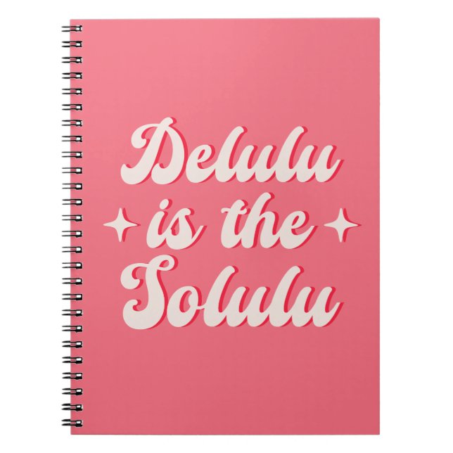 Carnet Delulu Est Le Solulu (Devant)