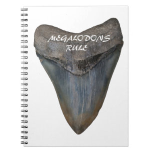 Carnet Dent de requin de Megalodon