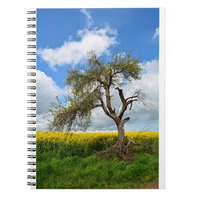 Carnet Der alte Baum (Devant)