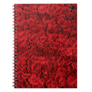Carnet Des centaines de belles roses rouges