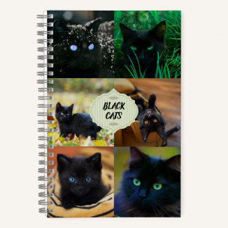 Carnet des chats noirs