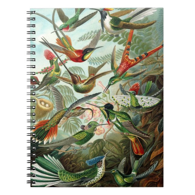 Carnet des colibris (Devant)