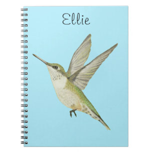 Carnet des colibris