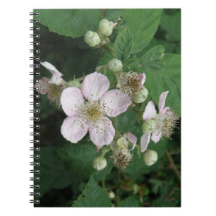 Carnet des Fleurs de Blackberry