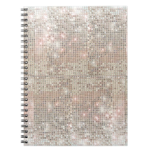 Carnet des séquences d'argent (Devant)