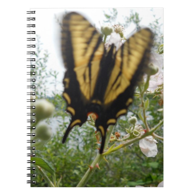Carnet des vols d'été (Devant)