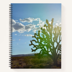 Carnet Desert beauty