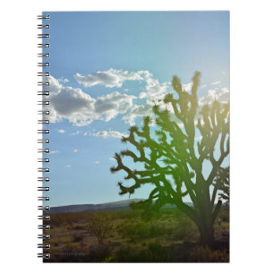 Carnet Desert beauty