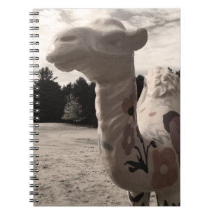 Carnet désert de maine