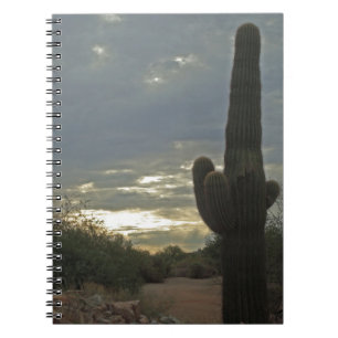 Carnet Desert Sunrise Saguaro Cactus Photo Peaceful