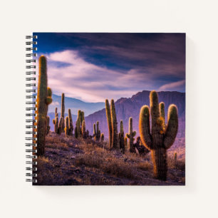 Carnet Deserts   Cactus Landscape Argentina