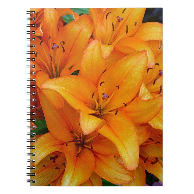 Carnet design de fleurs de lys orange (Devant)