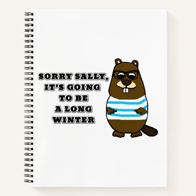 Carnet Désolé Sally, long hiver (Devant)