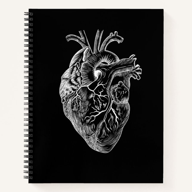 Carnet Dessin cardiaque anatomique (Devant)