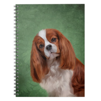Carnet Dessin Chien Cavalier King Charles Spaniel