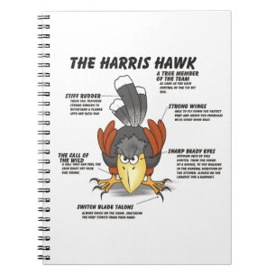 Carnet Dessin de Harris Hawk