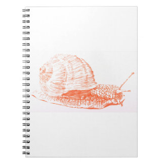 Carnet Dessin d'escargot orange