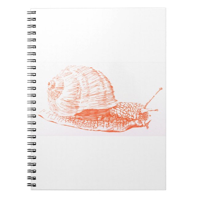 Carnet Dessin d'escargot orange (Devant)