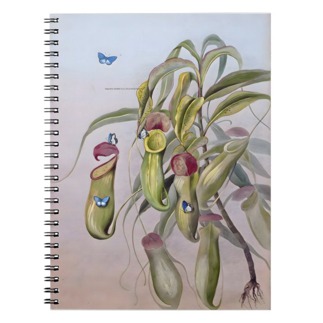 Carnet Dessins Plantes de Nepenthes, Anniversaire (Devant)