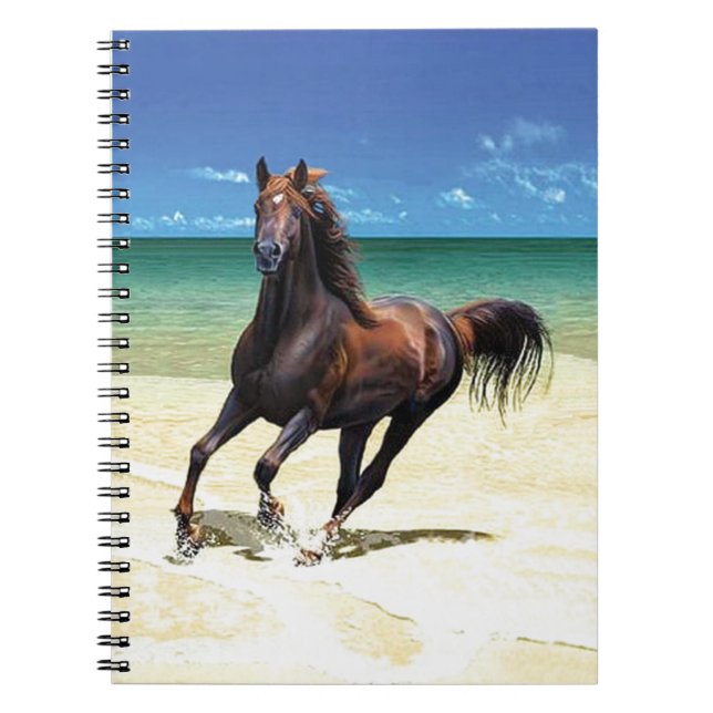 Carnet d'étalon de plage (Devant)
