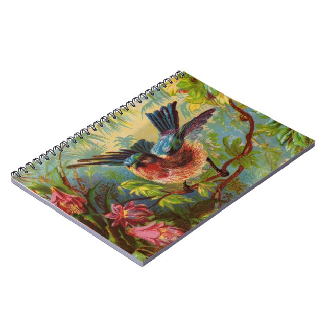 Carnet d'été Bluebird (Côté gauche)