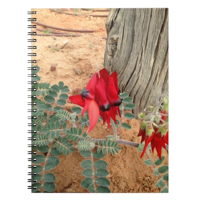 Carnet Détroit d'Australie (Devant)