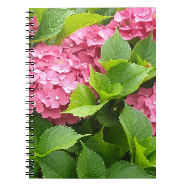 Carnet Détroit de Deep Pink (Devant)