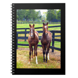 Carnet Deux amis