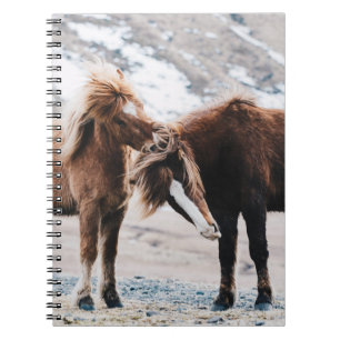CARNET DEUX CHEVAUX BROWN SUR LE TERRAIN