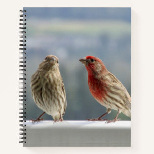 Carnet Deux Finches Flirtent.