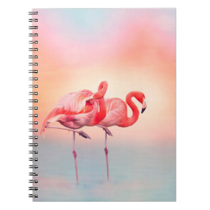 Carnet Deux flamants roses dans l'eau au coucher du solei