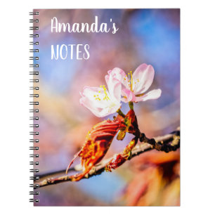 Carnet Deux Fleurs Extraordinaires Sakura. Rose, Arrière 