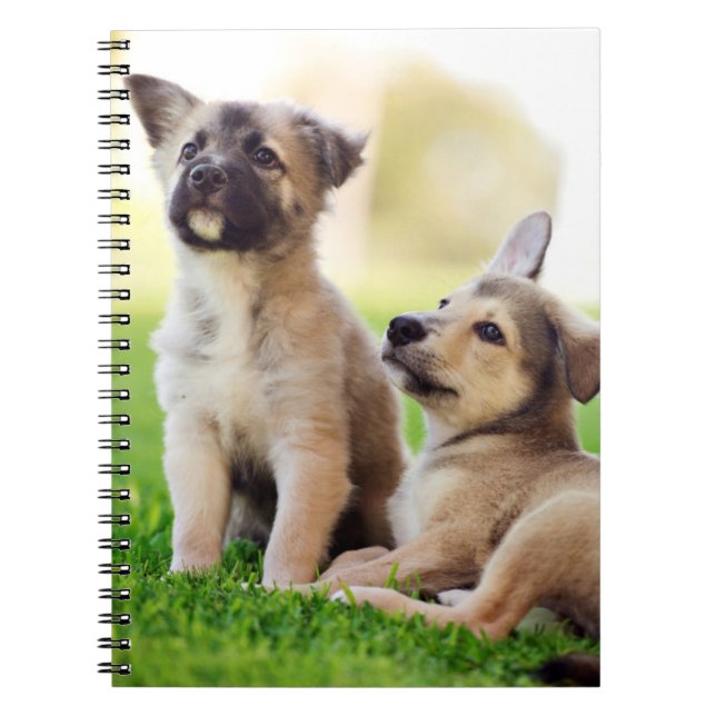 Carnet Deux German Shepherd (Devant)