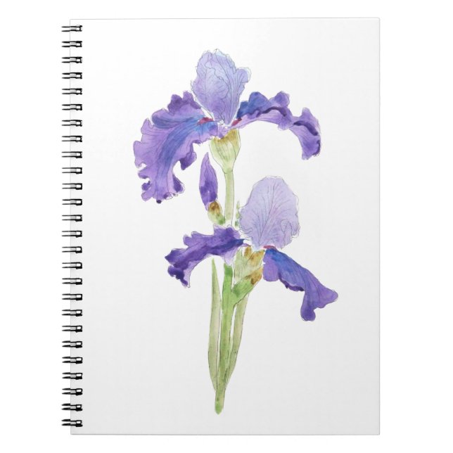 Carnet deux iris violets encre et aquarelle (Devant)