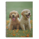 Deux Marionnettes de l'unité de triage du Labrador