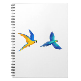 Carnet Deux perroquets volants
