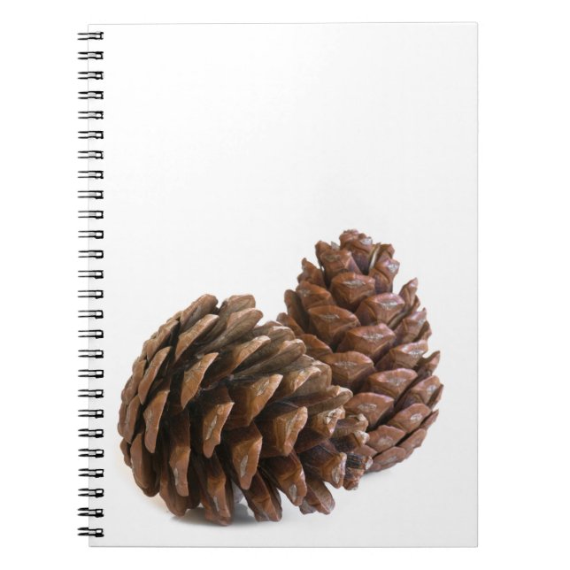Carnet Deux pinecones (Devant)