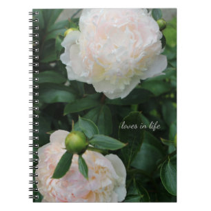 Carnet Deux pivoines blanches