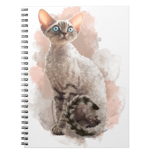 Carnet Devon Rex Sofi (Devant)