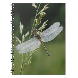 Carnet Dew couvert Darner Dragonfly