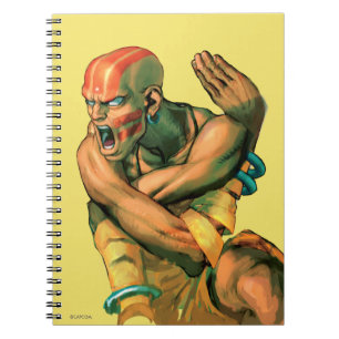 Carnet Dhalsim a tordu