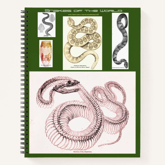 Carnet d'herpétologie (Devant)