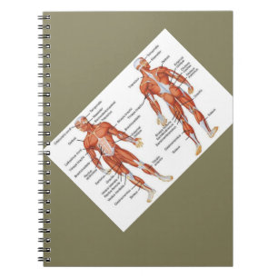 Carnet Diagrammes musculaires cadeaux101
