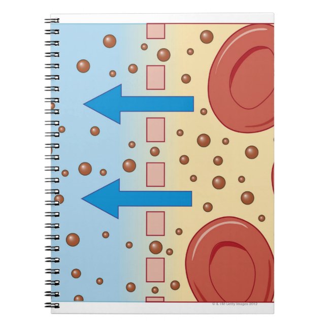 Carnet Dialyse rénale (Devant)