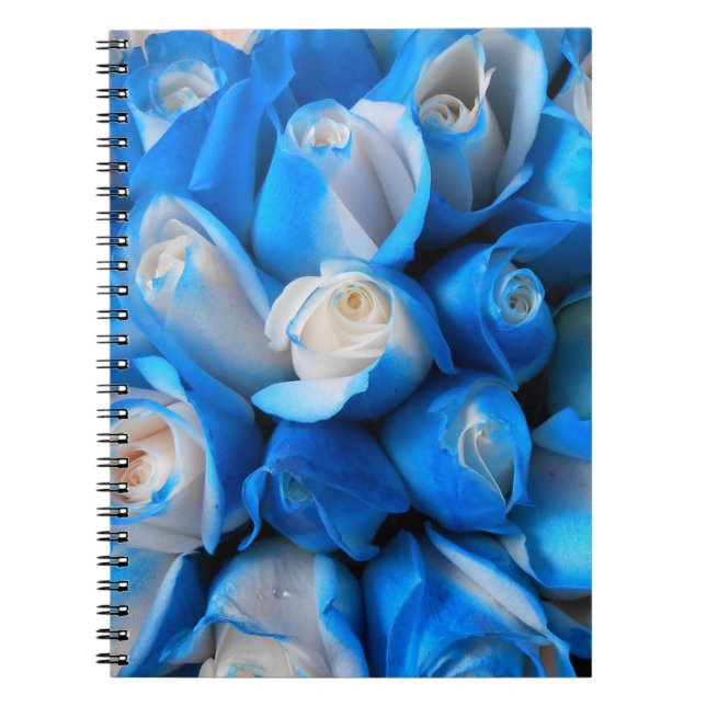 Carnet Diemudis (Devant)