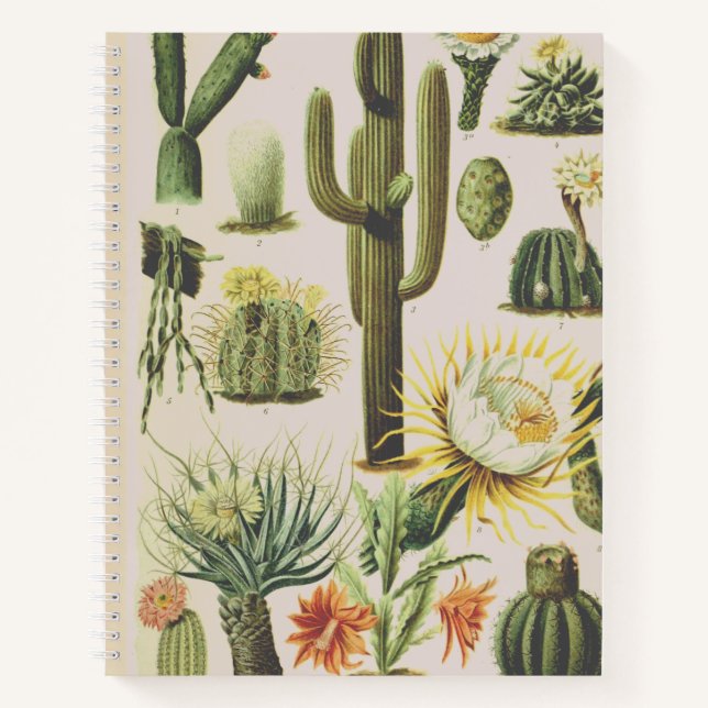 Carnet d'illustration de cactus botaniques vintage (Devant)