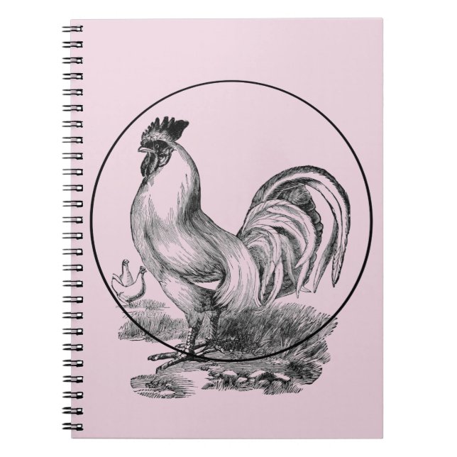 Carnet d'illustrations vintage (Devant)