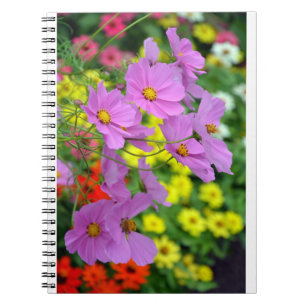 Carnet d'impression de fleurs cosmos rose